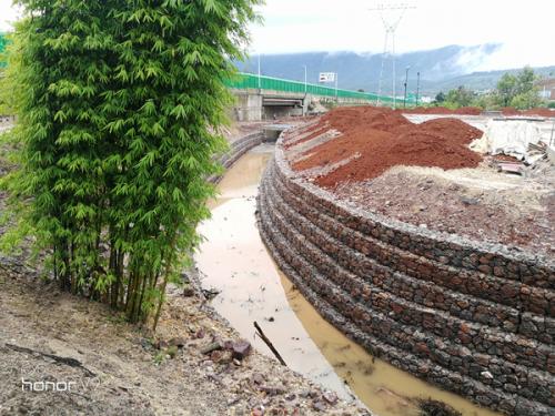 撫仙湖河道綠化治理